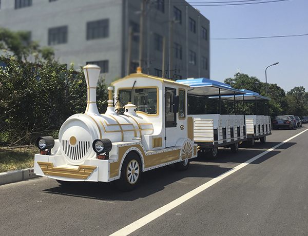 2019新款無(wú)軌觀(guān)光小火車(chē)價(jià)格多少